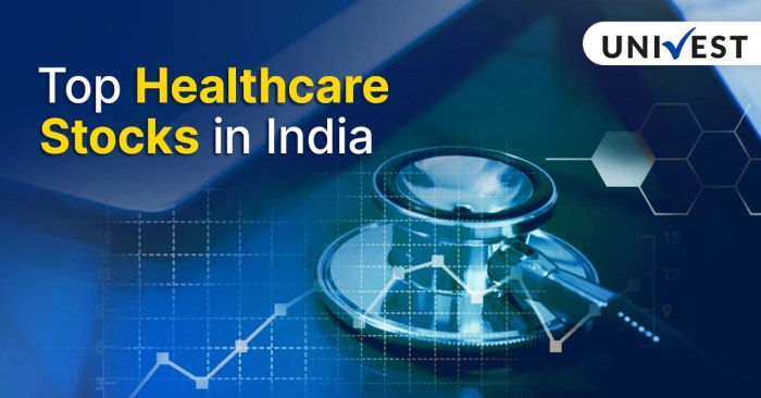 Top Healthcare Stocks in India 2024- Univest