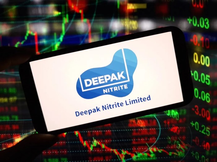 DEEPAK NITRITE LTD SHARE TARGET 🔰 DEEPAK NITRITE SHARE NEWS | TOP GAIN ...