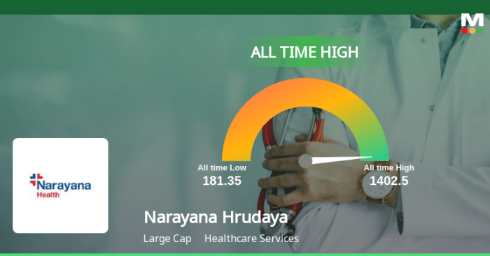 Narayana Hrudayalaya's Stock Reaches All-Time High, Showcasing Strong ...